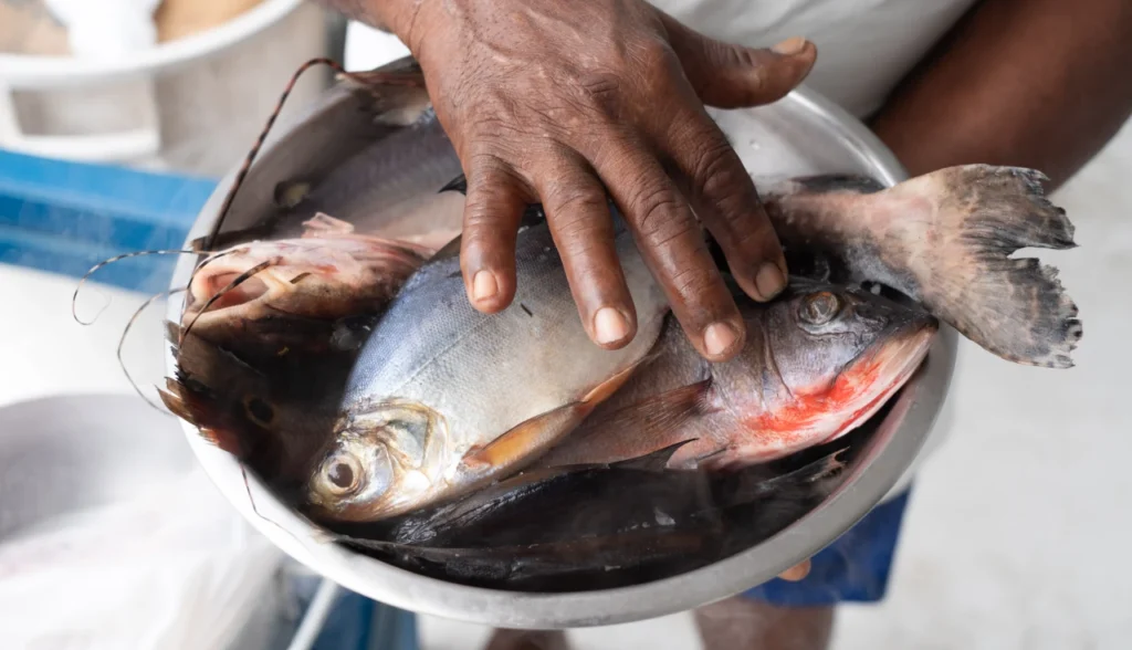 Tudo que Reflete o Rio