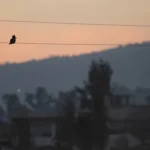Início 2 news 101890 1777937743