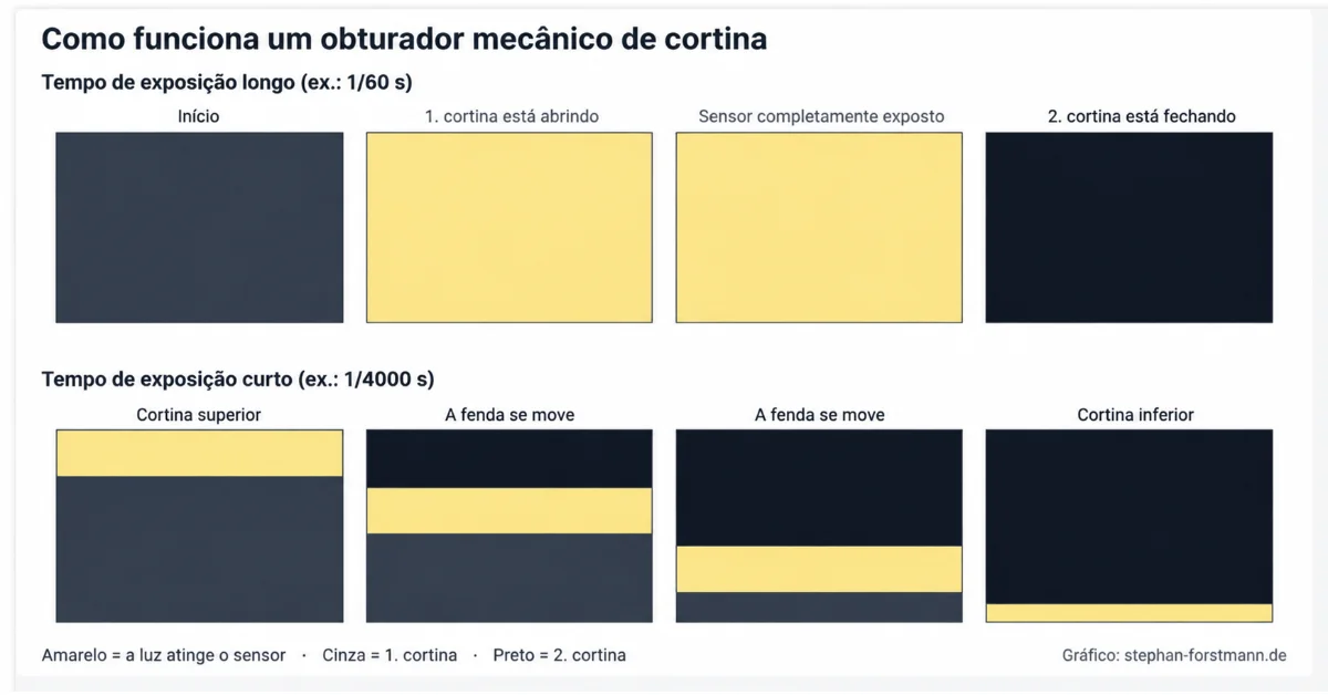 obturador 6